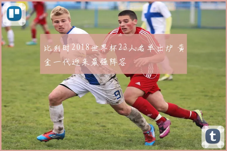 比利时2018世界杯23人名单出炉 黄金一代迎来最强阵容